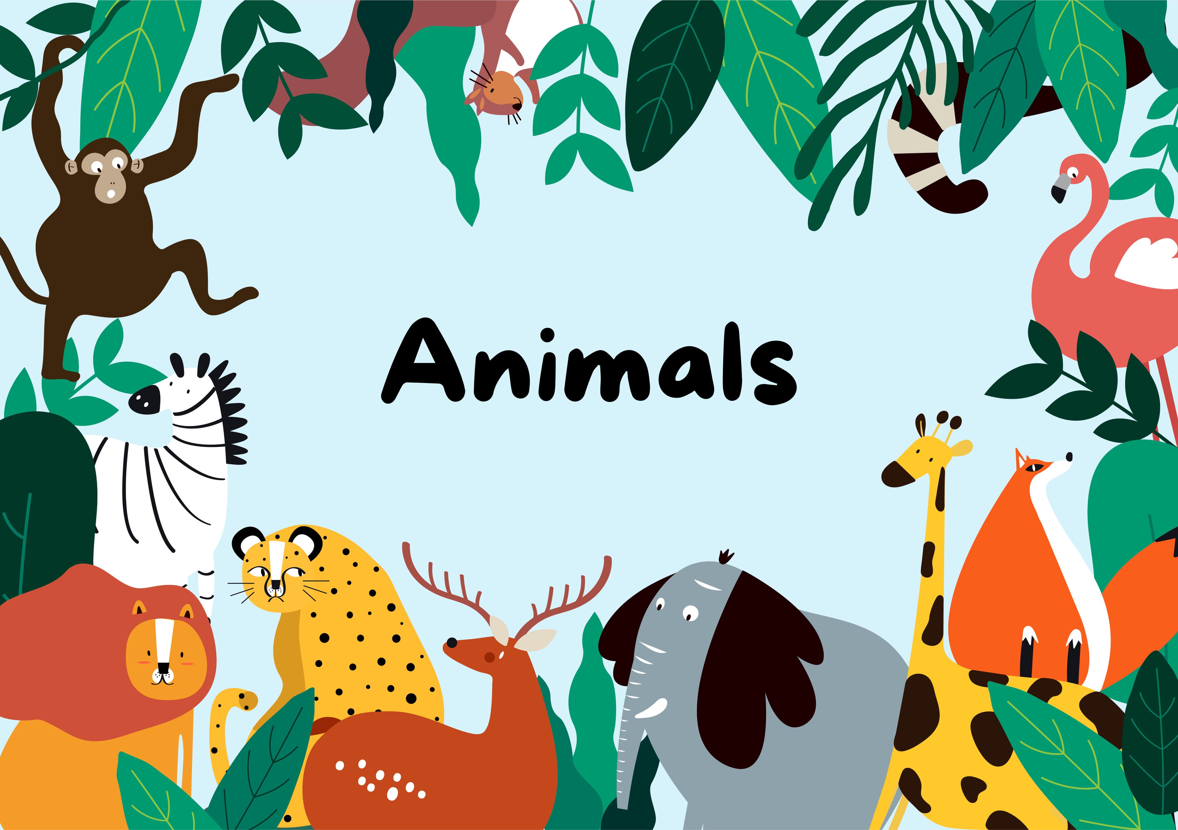 008. Head Tilt Quiz - Animals - A1